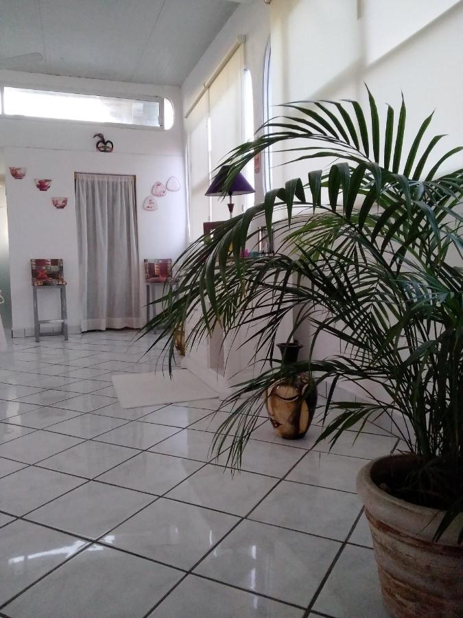 Boutique Basic Hotel بويرتو فالارتا المظهر الخارجي الصورة