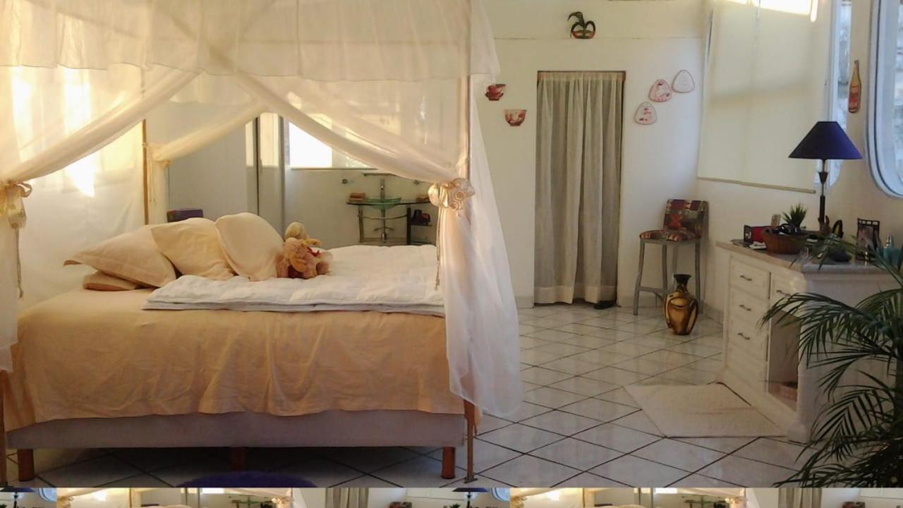 Boutique Basic Hotel بويرتو فالارتا المظهر الخارجي الصورة