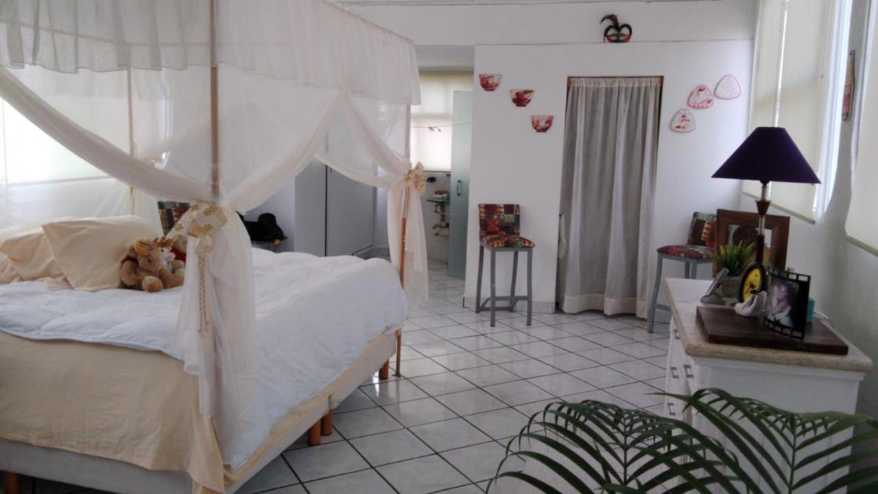 Boutique Basic Hotel بويرتو فالارتا المظهر الخارجي الصورة